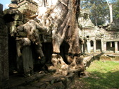 Enlarge photo 115