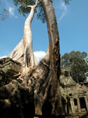 Enlarge photo 116