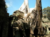Enlarge photo 117