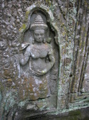 Enlarge photo 118