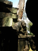 Enlarge photo 119