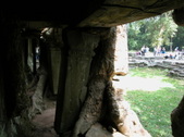 Enlarge photo 120