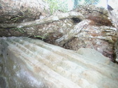 Enlarge photo 122