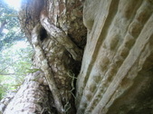Enlarge photo 123