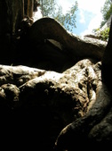 Enlarge photo 126