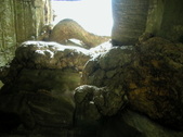 Enlarge photo 127