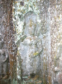 Enlarge photo 129