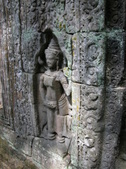 Enlarge photo 131