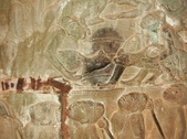 Enlarge photo 157