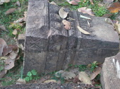 Enlarge photo 181