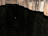 Enlarge photo 251