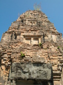 Enlarge photo 262
