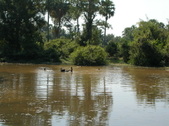 Enlarge photo 266