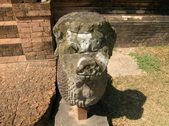 Enlarge photo 271