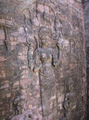 Enlarge photo 274