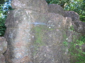 Enlarge photo 288