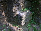 Enlarge photo 289