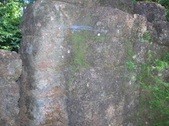 Enlarge photo 290