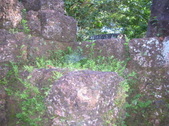 Enlarge photo 291