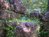 Enlarge photo 292