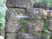 Enlarge photo 293