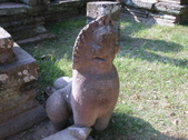 Enlarge photo 294