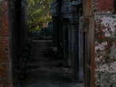 Enlarge photo 315