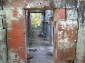Enlarge photo 316
