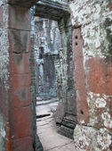 Enlarge photo 319