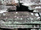 Enlarge photo 320