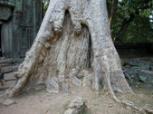 Enlarge photo 337