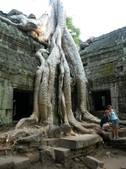 Enlarge photo 338