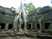 Enlarge photo 339