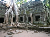Enlarge photo 340