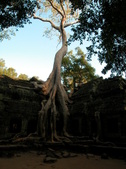 Enlarge photo 342