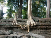 Enlarge photo 343