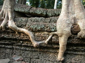 Enlarge photo 344