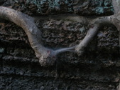 Enlarge photo 345