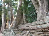 Enlarge photo 347