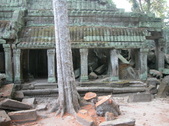 Enlarge photo 349
