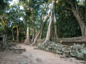 Enlarge photo 352