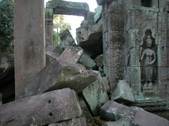 Enlarge photo 355