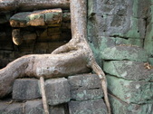 Enlarge photo 357