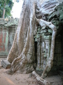 Enlarge photo 358