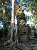 Enlarge photo 372
