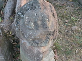 Enlarge photo 386