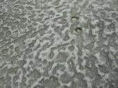 Enlarge photo 55