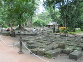Enlarge photo 73