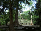 Enlarge photo 74