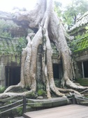 Enlarge photo 78